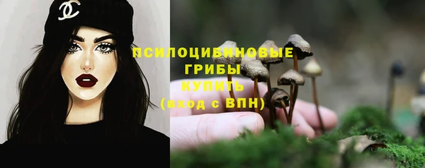дживик Арсеньев