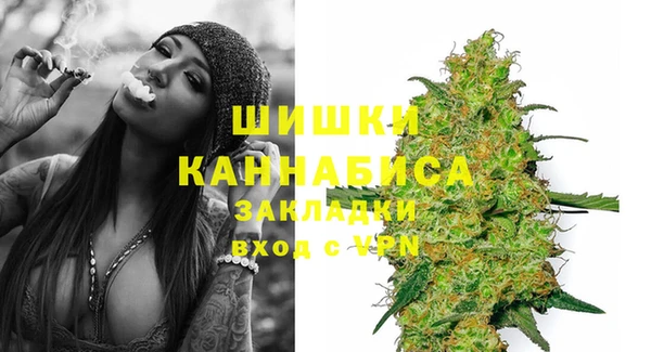 прущие грибы Снежинск