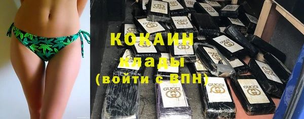 прущие грибы Снежинск