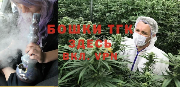 дживик Арсеньев