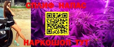 прущие грибы Анжеро-Судженск