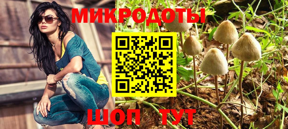 Галлюциногенные грибы MAGIC MUSHROOMS  Вход с VPN  Радужный 