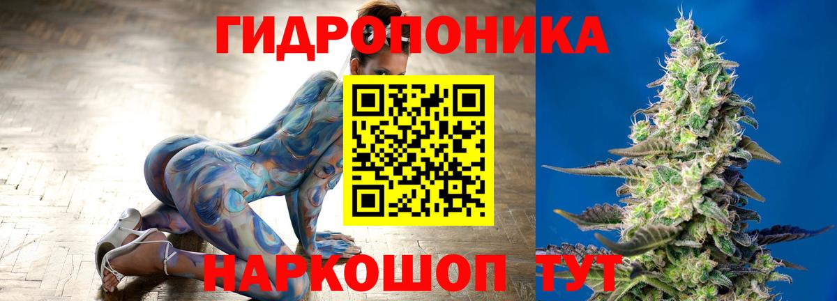 Конопля VHQ  Каннабис планчик  Шишки марихуана индика  Вход с VPN  Радужный 